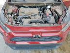 2019 Toyota Rav4 Le de vânzare în Anthony, TX - Rear End