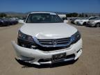 2013 Honda Accord Exl for Sale in San Martin, CA - Front End