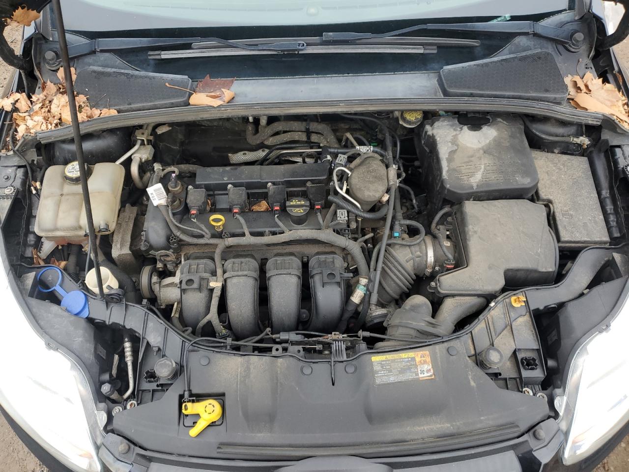 2013 Ford Focus Se VIN: 1FADP3K24DL169137 Lot: 56777125