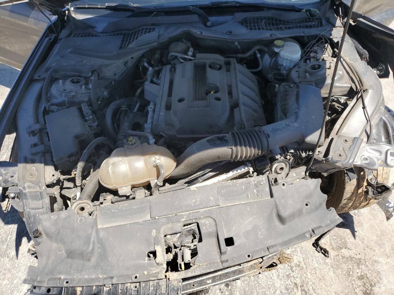 2019 Ford Mustang VIN: 1FA6P8TH7K5125594 Lot: 55512065