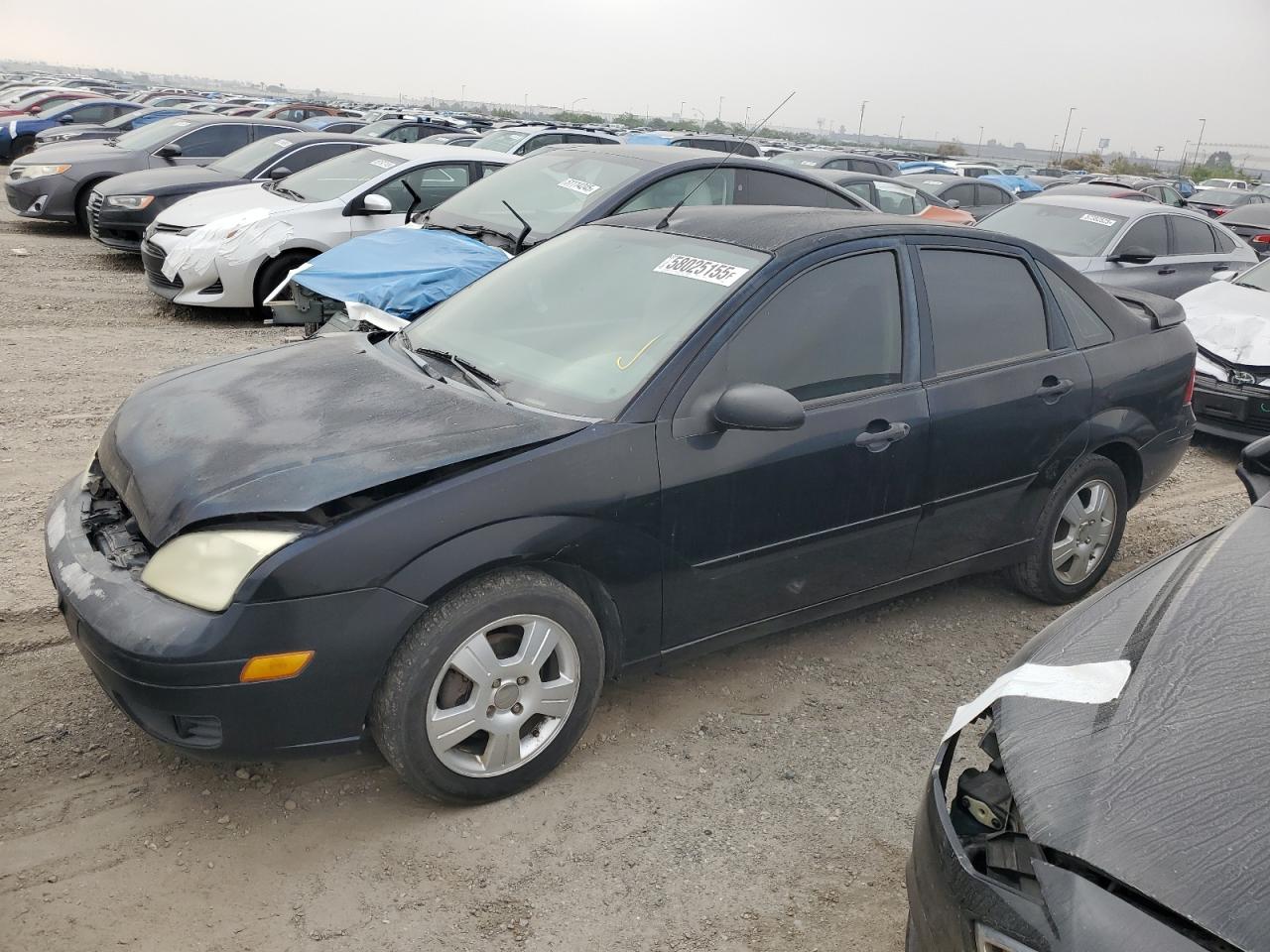 1FAHP34N05W293334 FORD FOCUS Photo 1