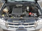 2012 Ford Escape Xlt იყიდება Wilmer-ში, TX - All Over