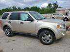 2010 Ford Escape Xlt for Sale in Pekin, IL - Front End