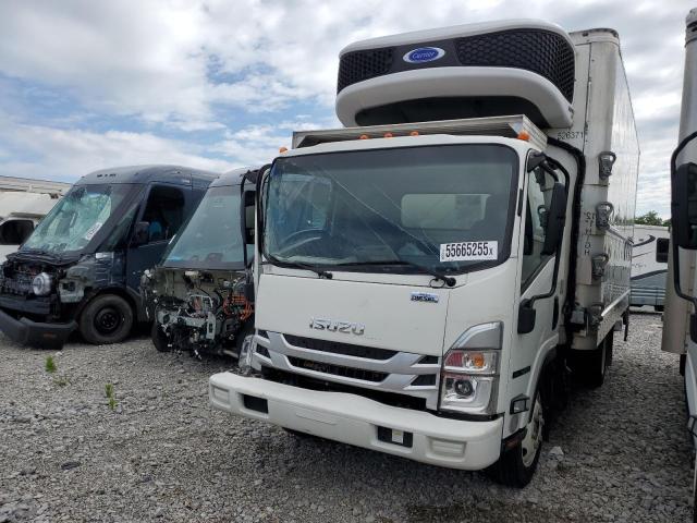 2023 Isuzu Nrr 