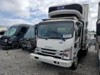 2023 Isuzu Nrr  na sprzedaż w Madisonville, TN - Front End