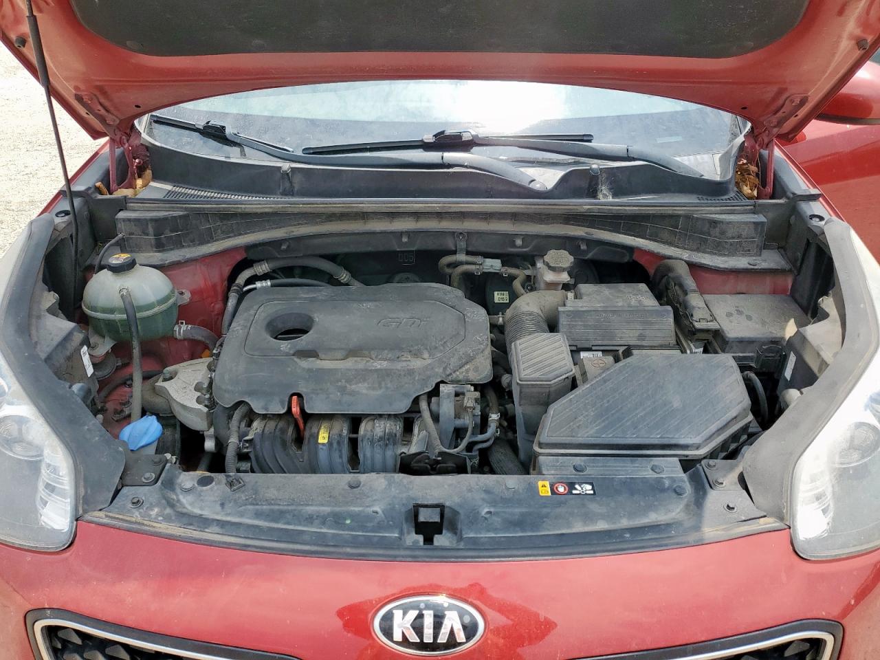 2018 Kia Sportage Lx VIN: KNDPM3AC3J7490116 Lot: 56749175