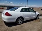 2007 Honda Accord Ex na sprzedaż w Albuquerque, NM - Front End
