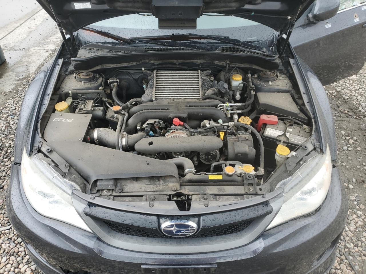 2013 Subaru Impreza Wrx VIN: JF1GV7F69DG016897 Lot: 57271345