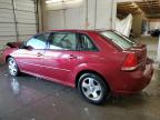 2004 Chevrolet Malibu Maxx Lt за продажба в Madisonville, TN - Front End