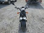 2019 Honda Nps50  en Venta en Earlington, KY - Vandalism