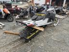 2025 Skidoo Summit Adr for Sale in Montreal-est, QC - All Over