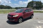 2013 Ford Escape Se იყიდება Apopka-ში, FL - Mechanical