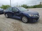 2013 Honda Accord Exl zu verkaufen in Indianapolis, IN - Side