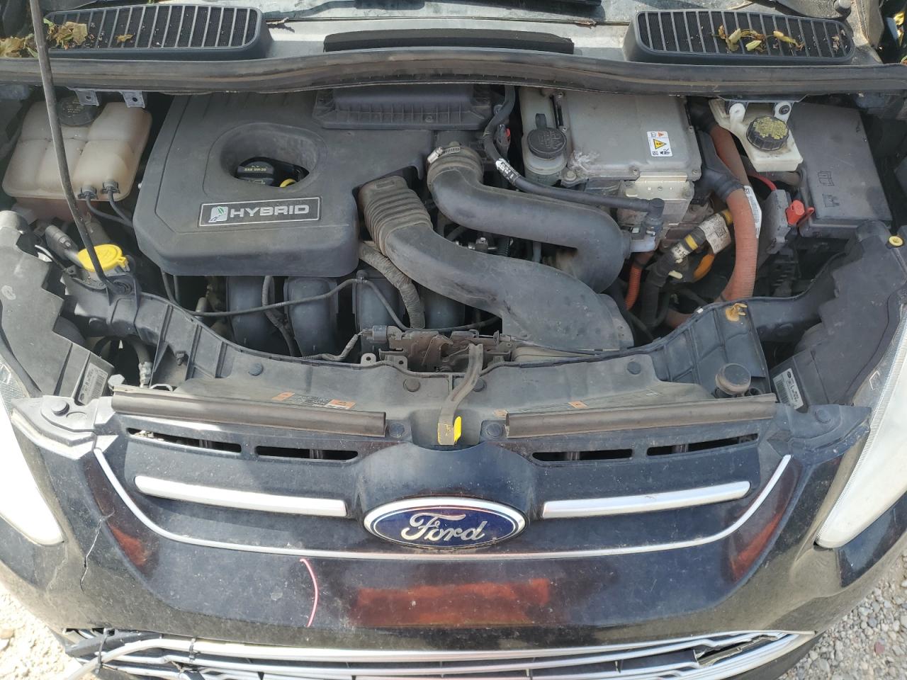 2013 Ford C-Max Sel VIN: 1FADP5BU7DL550896 Lot: 57310645