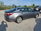 Indianapolis, IN에서 판매 중인 2015 Lexus Es 350 - All Over