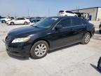 2009 Toyota Camry Hybrid на продаже в Haslet, TX - Front End