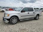 2013 Ford F150 Supercrew   na sprzedaż w Sikeston, MO - Front End