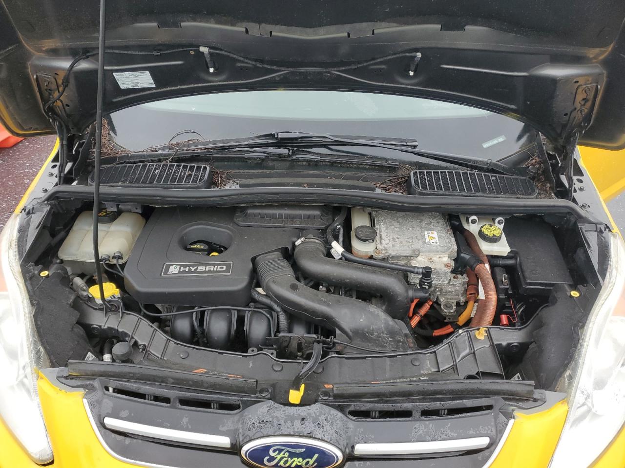 2015 Ford C-Max Se VIN: 1FADP5AU4FL116634 Lot: 57097165