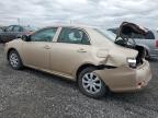 2012 Toyota Corolla Base en Venta en Ottawa, ON - Rear End