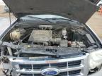 2012 Ford Escape Xlt for Sale in Brighton, CO - Front End