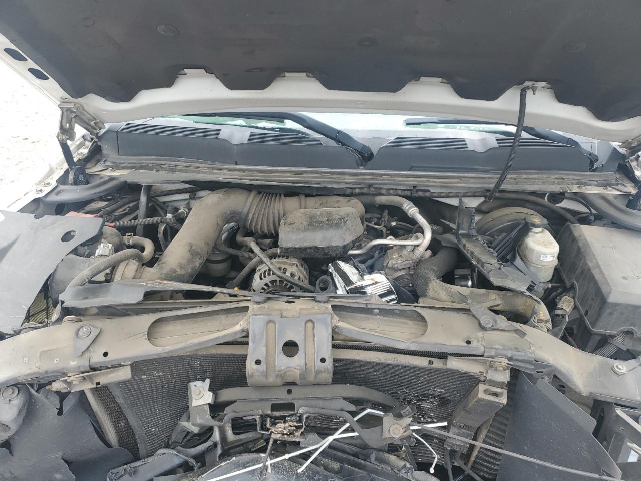 2013 Chevrolet Silverado C1500 VIN: 1GCNCPEXXDZ900028 Lot: 55576775