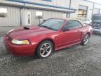 2003 Ford Mustang Gt zu verkaufen in Earlington, KY - Hail