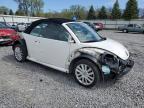 2010 Volkswagen New Beetle  for Sale in Albany, NY - Front End