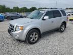 2012 Ford Escape Limited იყიდება Columbus-ში, OH - Front End