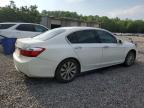 2013 Honda Accord Exl   продається в Grenada, MS - Rear End