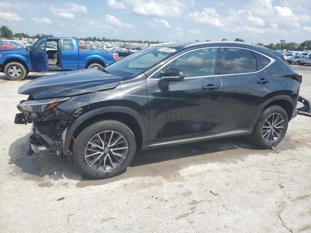 LEXUS NX 350H BA 2024