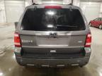 2010 Ford Escape Limited for Sale in Avon, MN - Front End