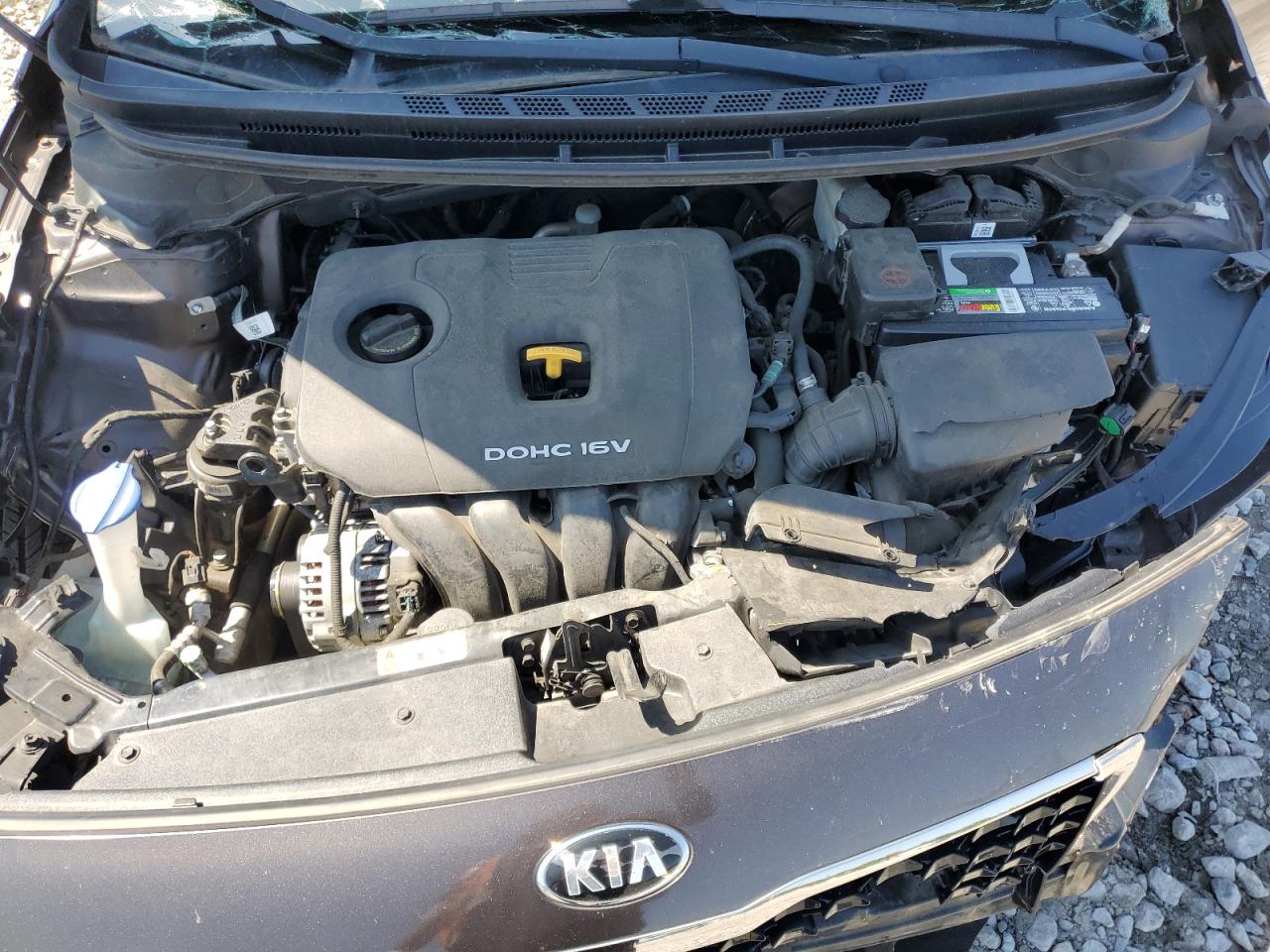 2017 Kia Forte Lx VIN: 3KPFK4A75HE142256 Lot: 56296015