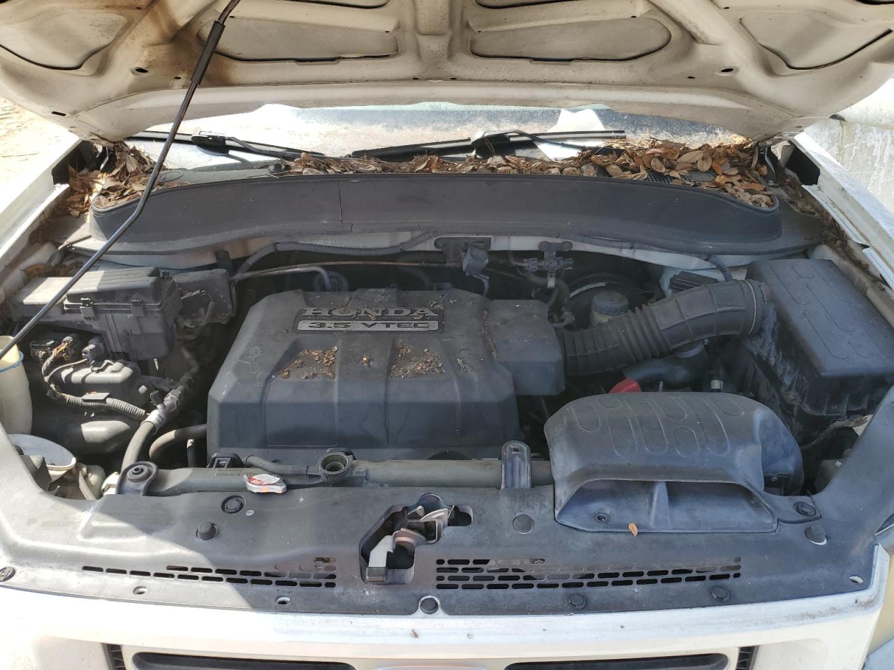 2006 Honda Ridgeline Rts VIN: 2HJYK16426H543105 Lot: 55626035