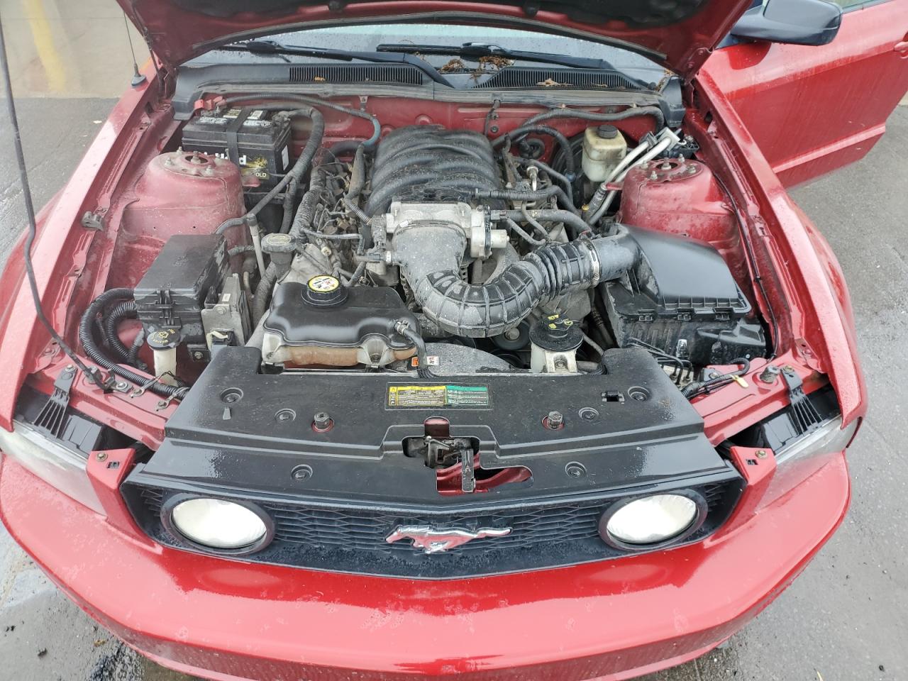 2008 Ford Mustang Gt VIN: 1ZVHT85HX85156503 Lot: 57903735