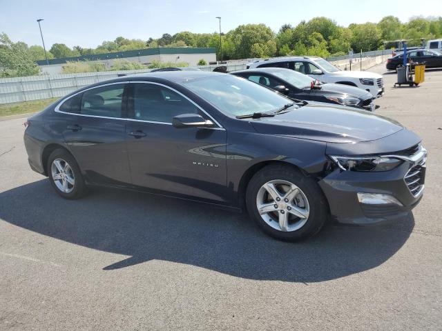  CHEVROLET MALIBU 2023 Gray