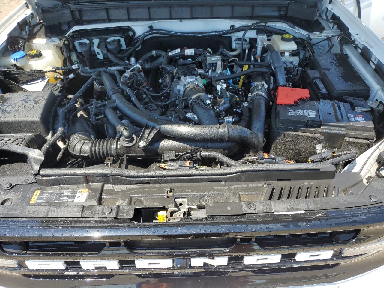 2023 Ford Bronco Base VIN: 1FMEE5BP2PLB95084 Lot: 57082345
