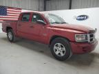 2010 Dodge Dakota Sxt за продажба в Jacksonville, FL - Front End