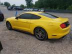 Madisonville, TN에서 판매 중인 2015 Ford Mustang  - Minor Dent/Scratches