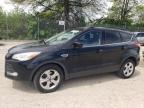 2016 Ford Escape Se na sprzedaż w Cicero, IN - Minor Dent/Scratches