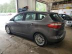 2013 Ford C-Max Sel на продаже в Ham Lake, MN - Hail