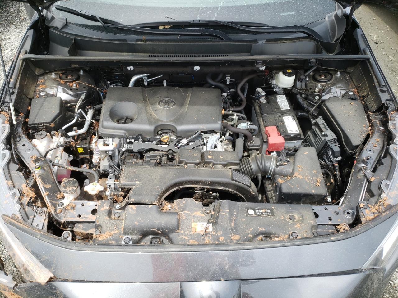 2021 Toyota Rav4 Xle Premium VIN: 2T3C1RFV6MC097726 Lot: 58900675