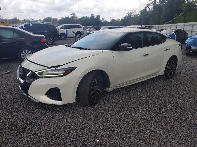 2023 Nissan Maxima Sv