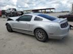2014 Ford Mustang  for Sale in Wilmer, TX - Front End