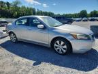 Gastonia, NC에서 판매 중인 2008 Honda Accord Exl - Rear End