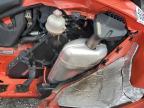2019 SKIDOO BACKCOUNTR for sale at Copart ON - OTTAWA