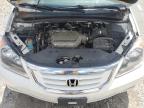 2010 Honda Odyssey Exl იყიდება Prairie Grove-ში, AR - Hail