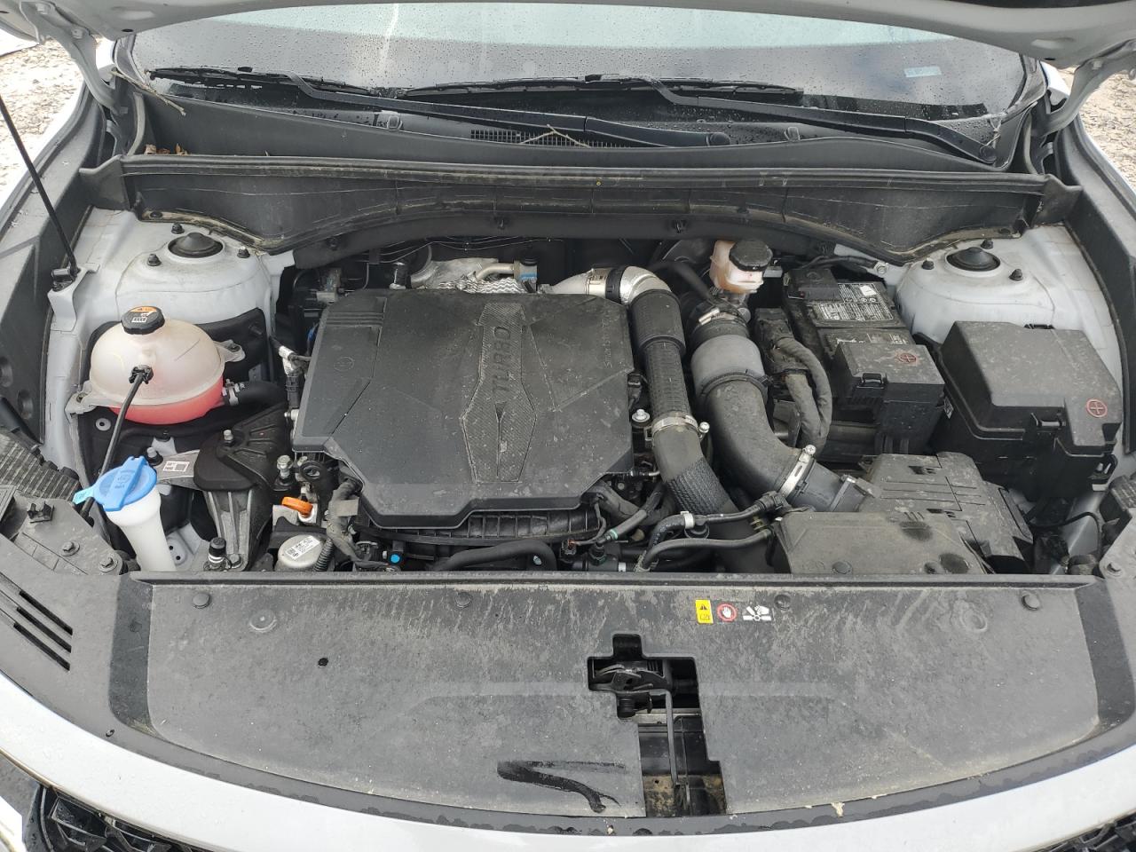2023 Kia Sorento Sx VIN: 5XYRK4LF7PG169090 Lot: 55732865