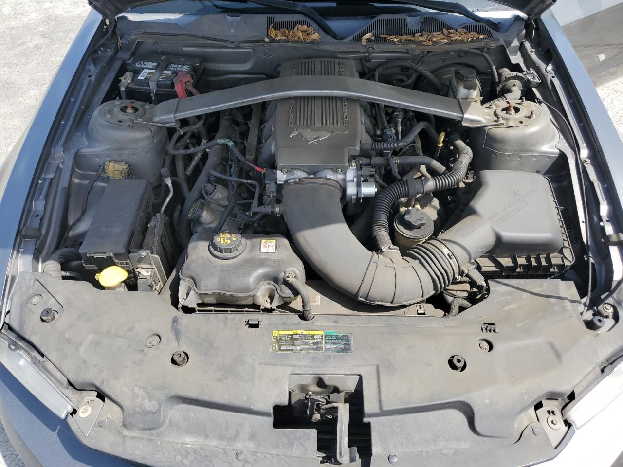 2010 Ford Mustang Gt VIN: 1ZVBP8CH6A5152256 Lot: 57627965