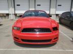 2014 Ford Mustang  للبيع في Louisville، KY - All Over