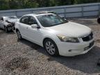 2009 Honda Accord Exl de vânzare în Riverview, FL - Rear End